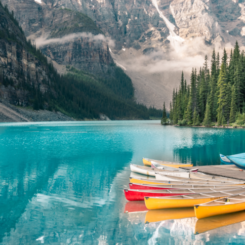 Royal Palm Beachcomber Special