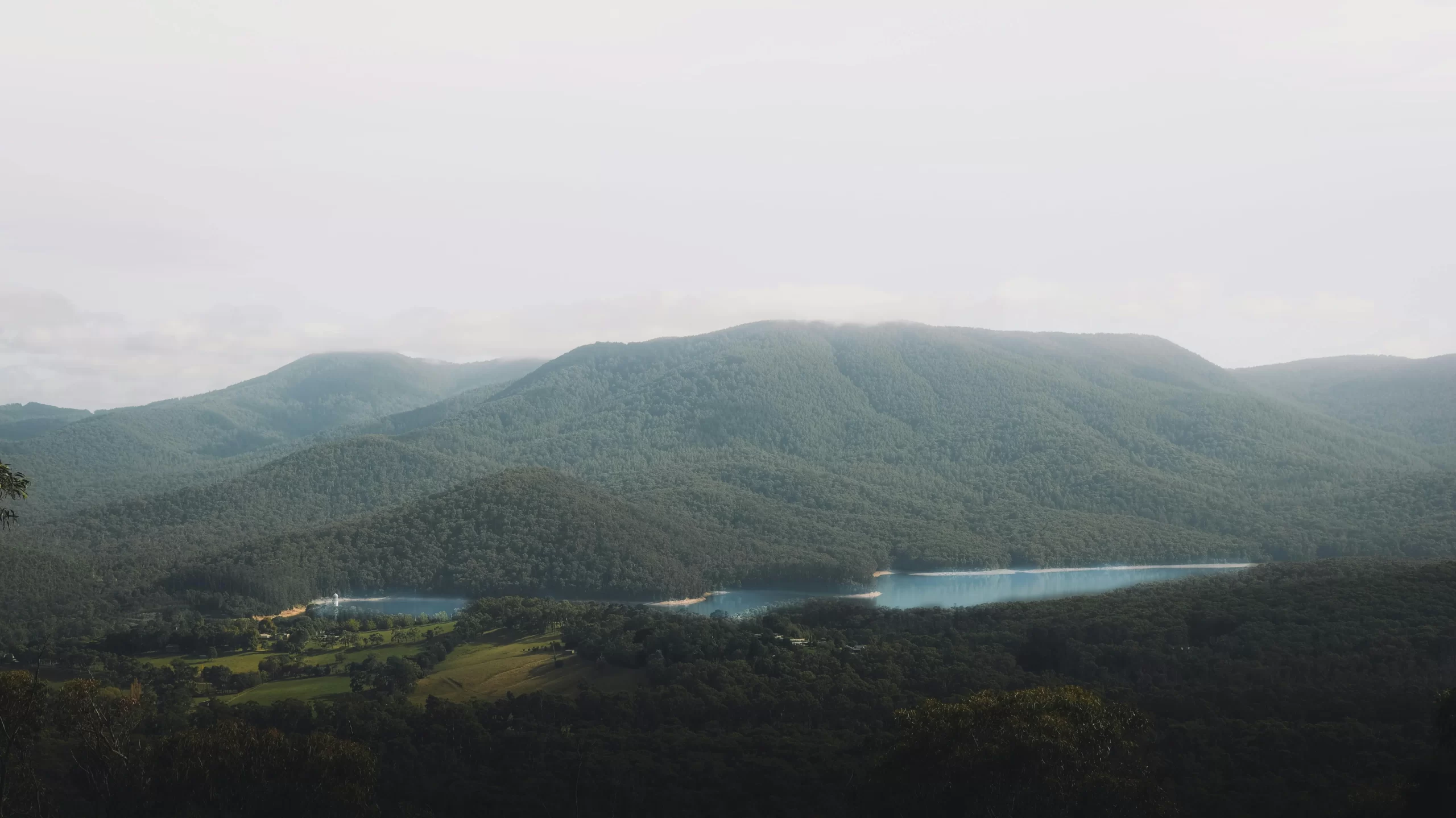 blue-mountains-australia-pexels-pat-whelen-2913248-7150976