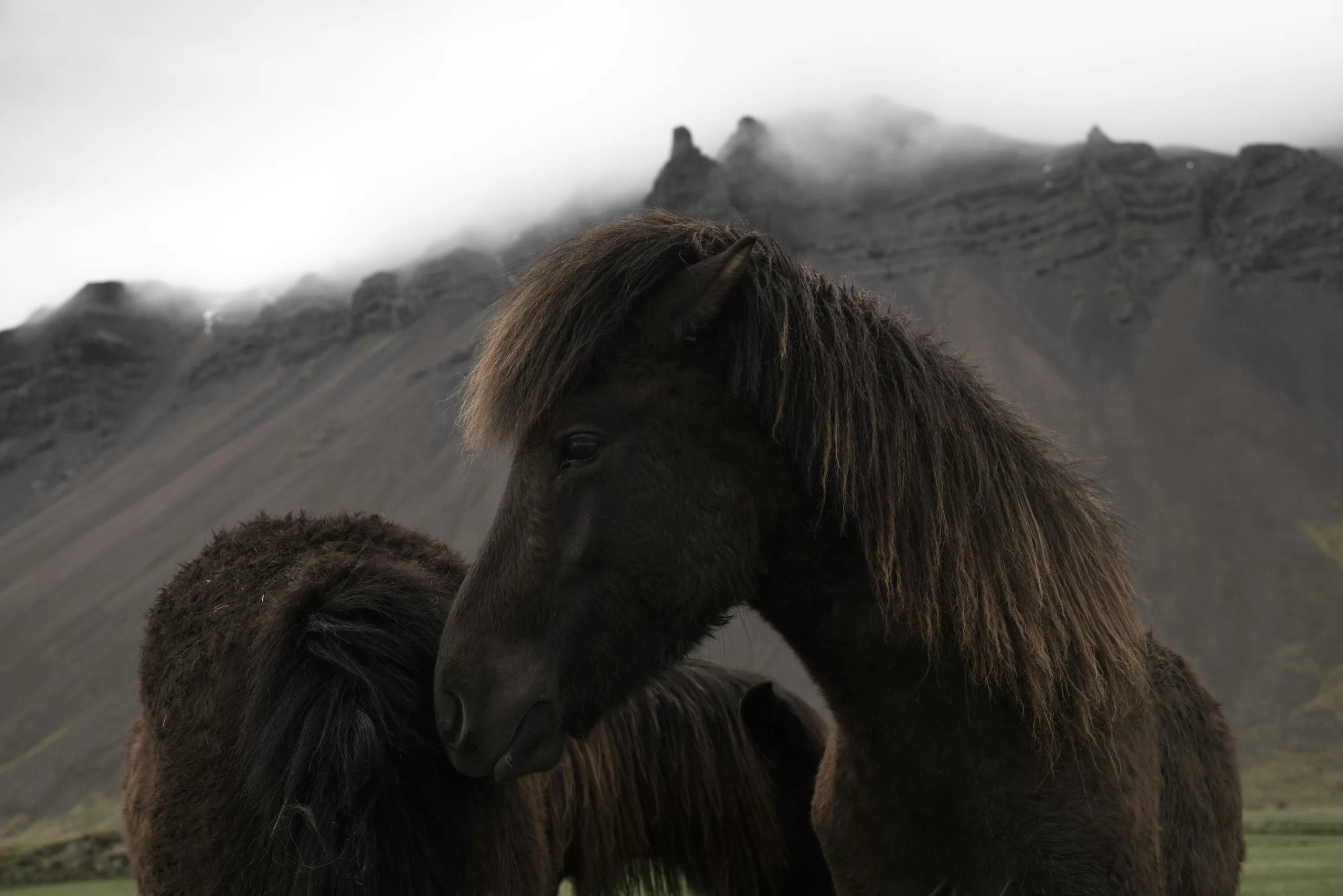 iceland1-pexels-arthousestudio-4337903