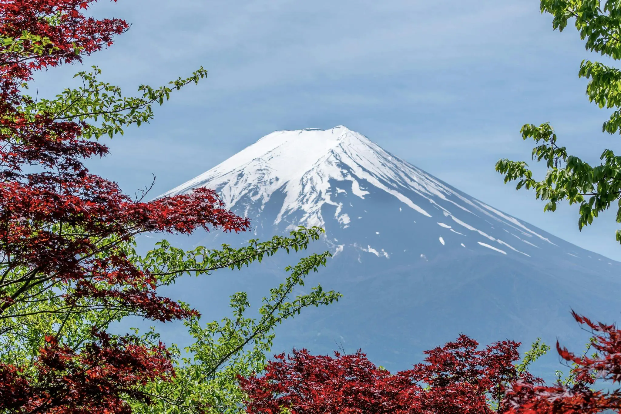 tokyo4-pexels-pixabay-248195