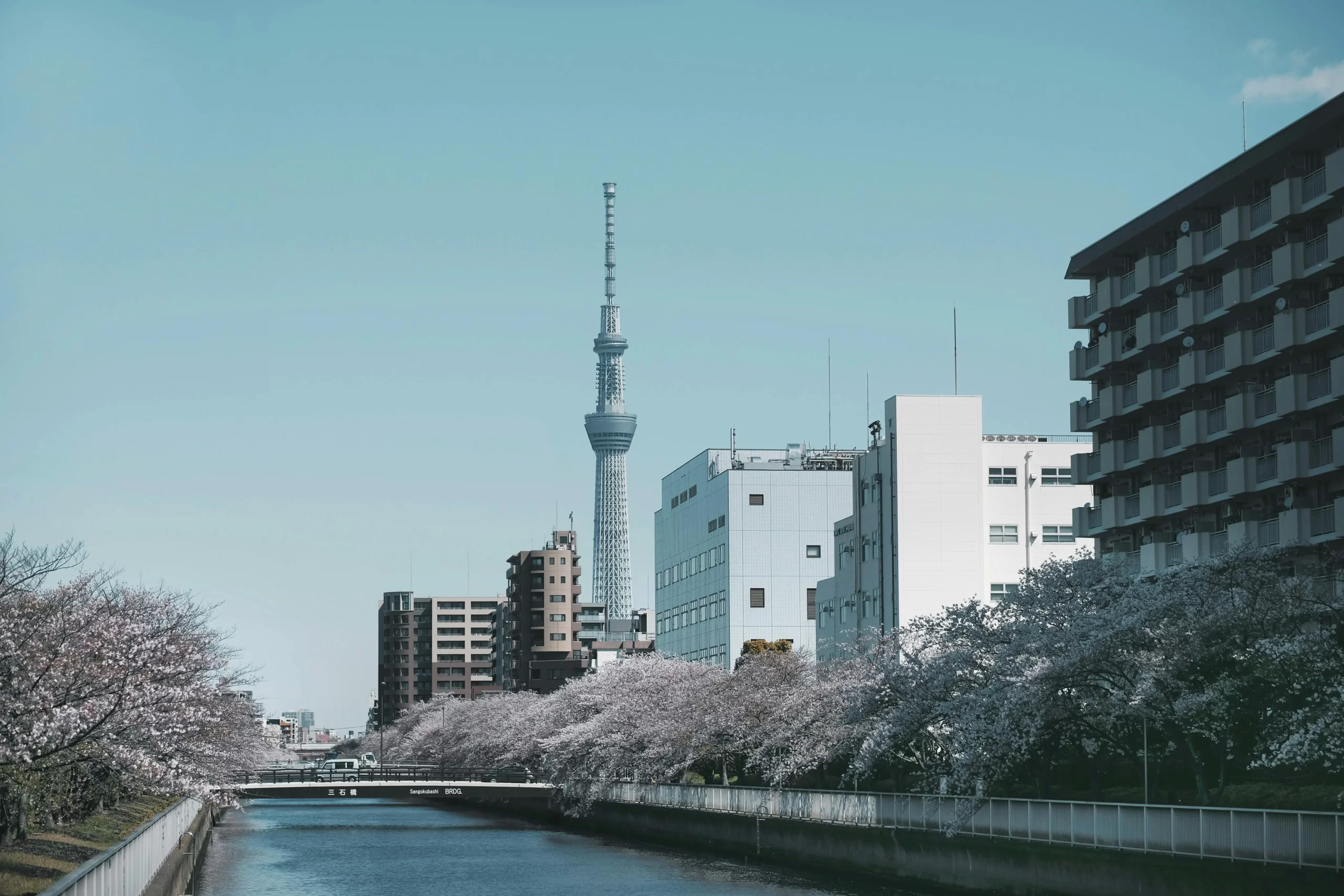 tokyo5-pexels-evgeny-tchebotarev-1058775-2187456