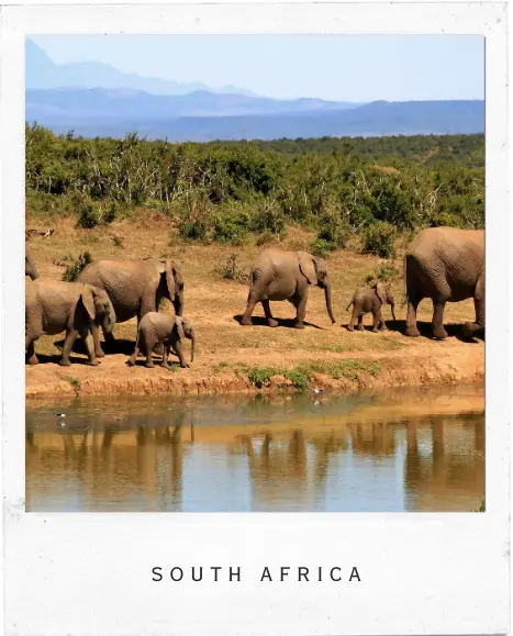 South Africa Vacation - Utopia Travel By Design